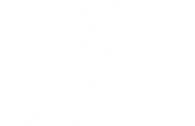 The Leela Palace